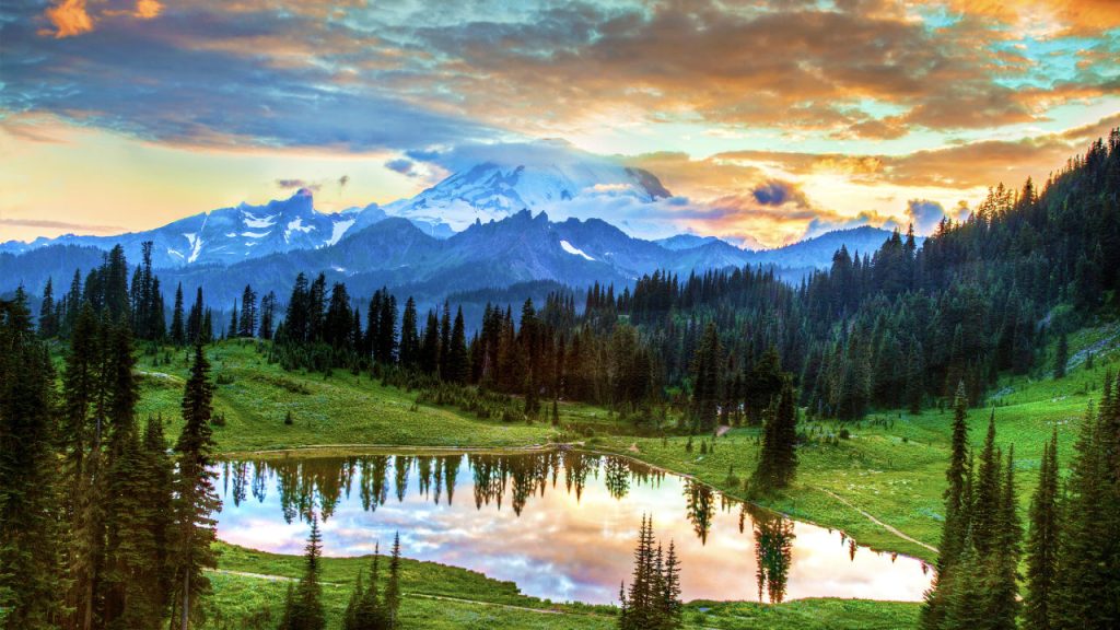 Beauty In God's Sight