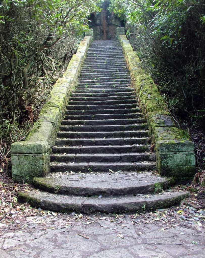 Steps of Salvation